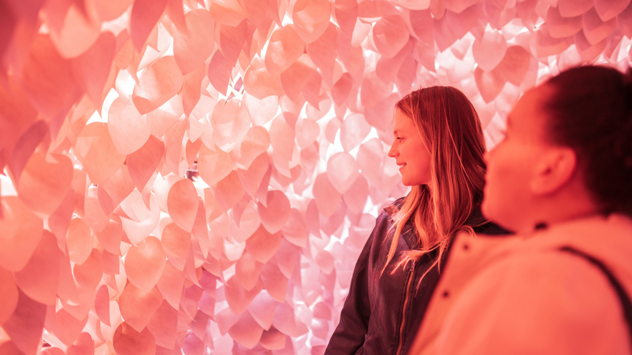 A photo of the interior of Breathing Room. Two visitors look towards a wall of cones, and away from the camera. The cones are illuminated in an orange-coloured light.