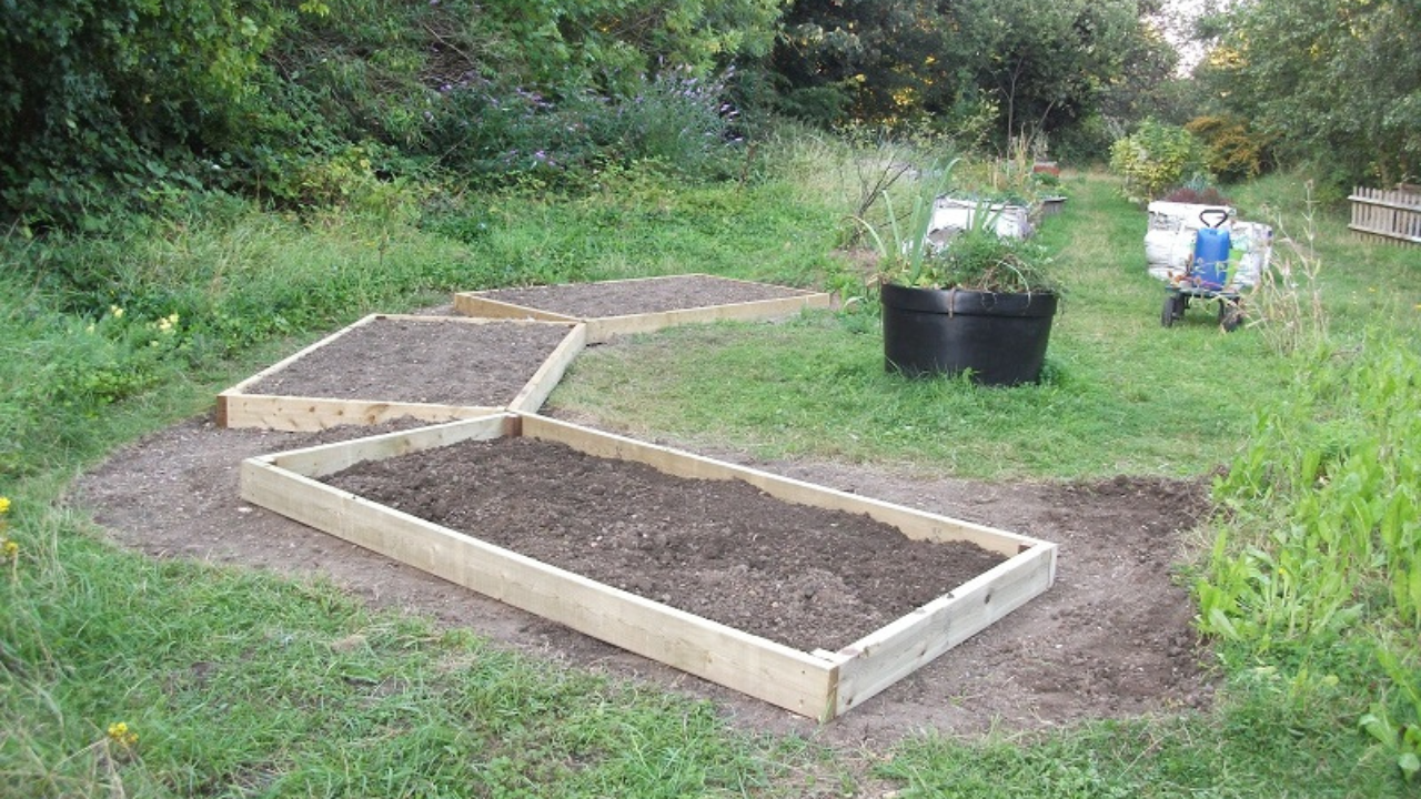 Photo of bedding areas in a garden