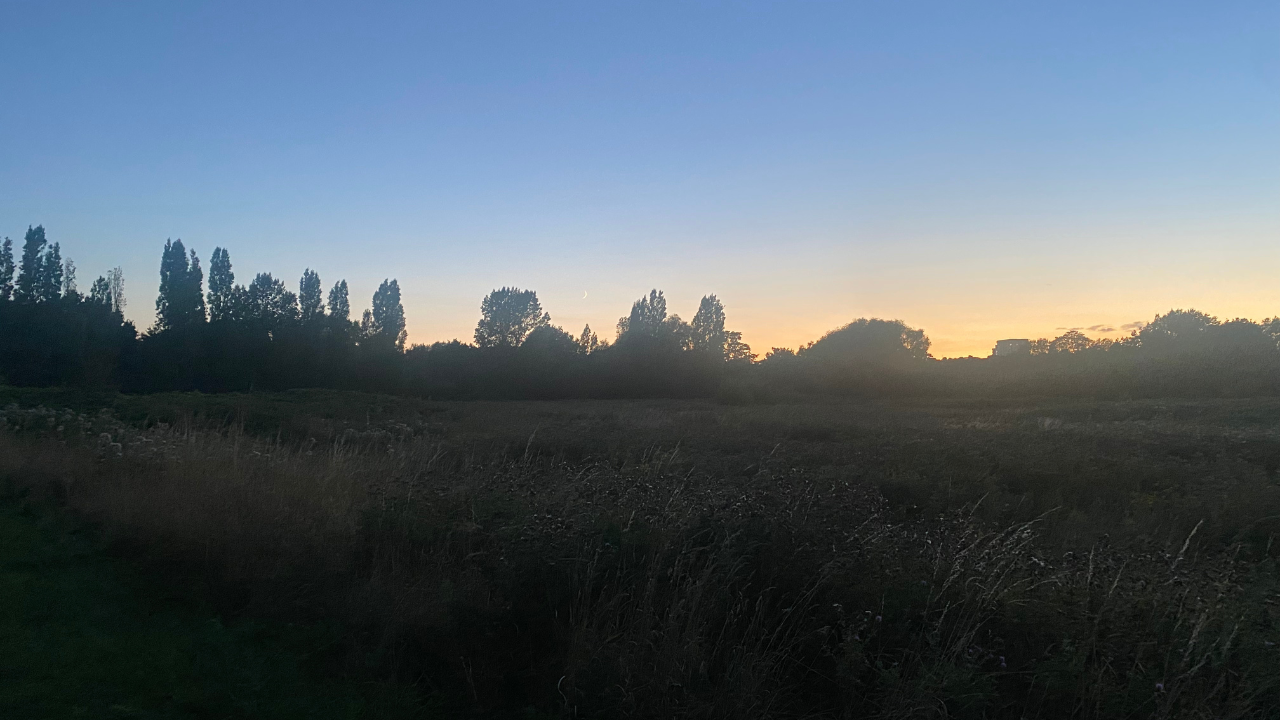 Picture of South Norwood Country Park