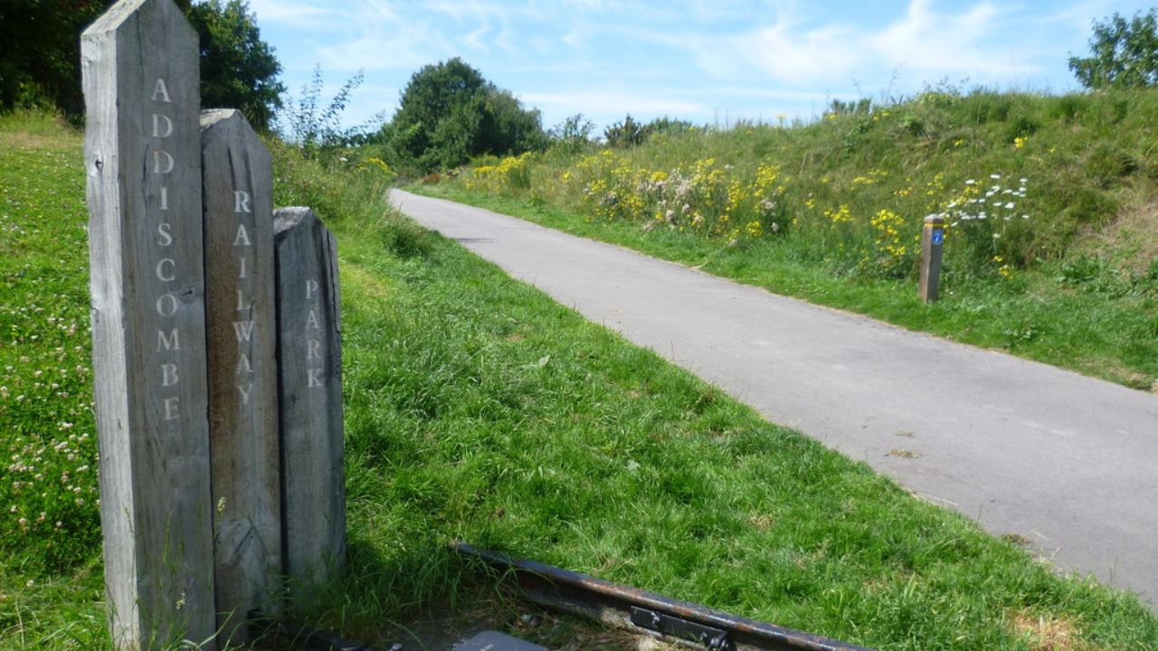 Picture of Addiscombe Railway Park...a path in the centre with grass and wild flowers either side.