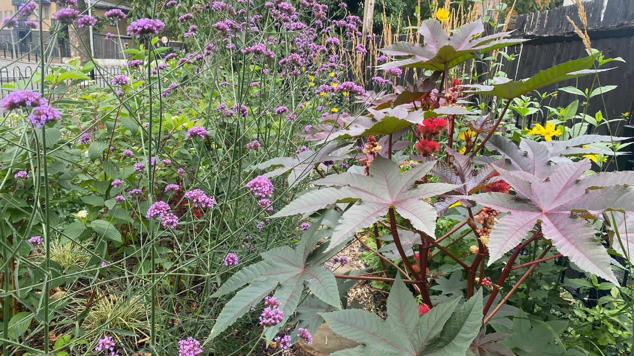 picture with flowers