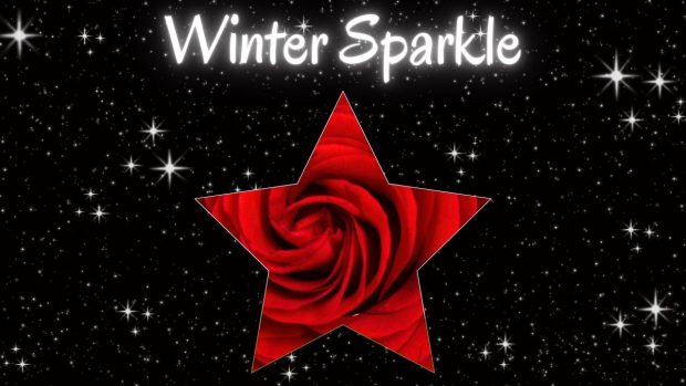 The words WInter Sparkle with a red rose underneath and a black and sparkle background.