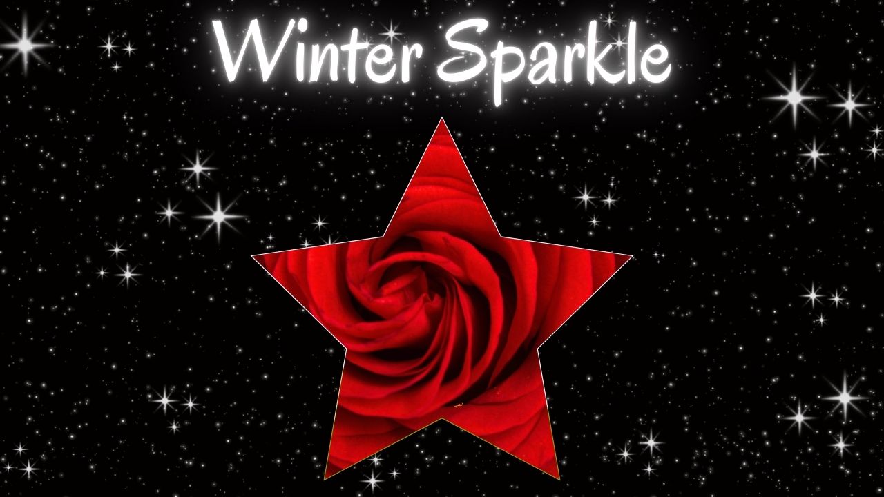 The words WInter Sparkle with a red rose underneath and a black and sparkle background.