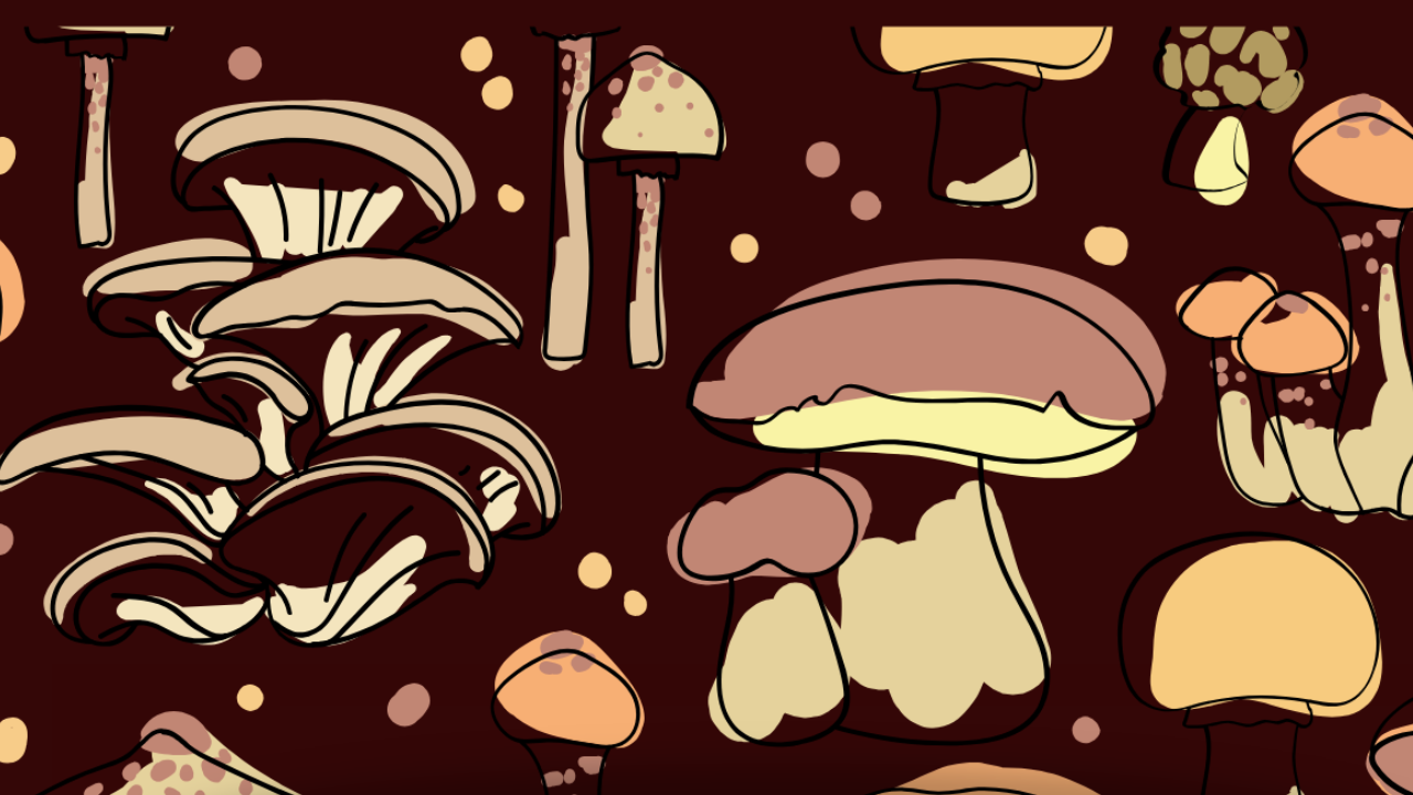 Picture of mushrooms on a brown background