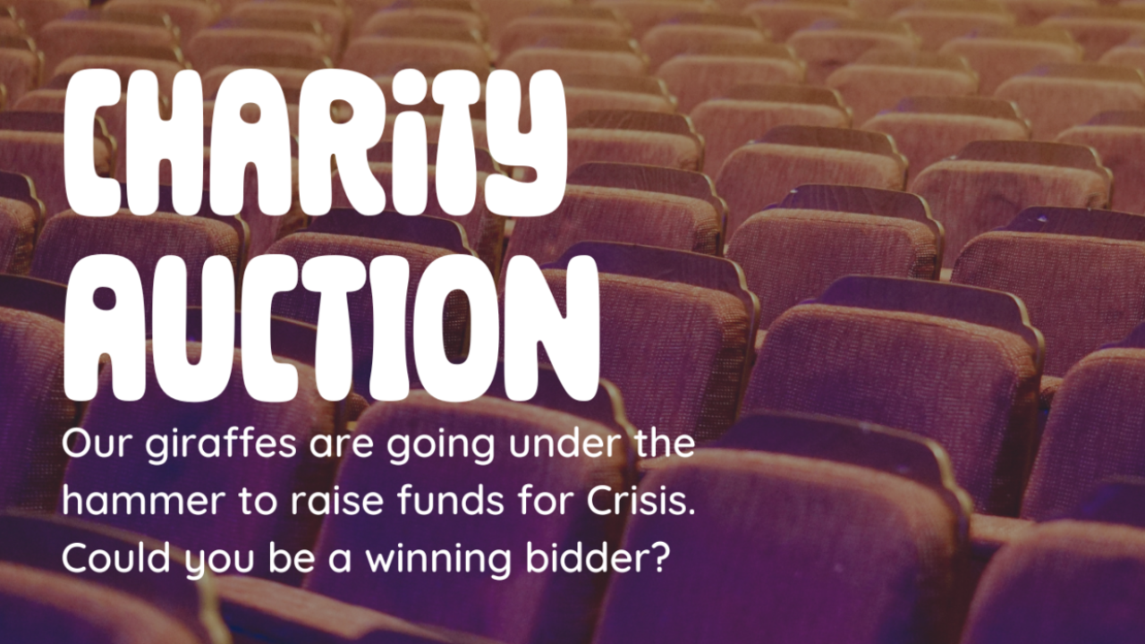A background of chairs with the words 'Charity Auction - our giraffes are going under the hammer to raise fund for Crisis. could you be the winning bidder?'