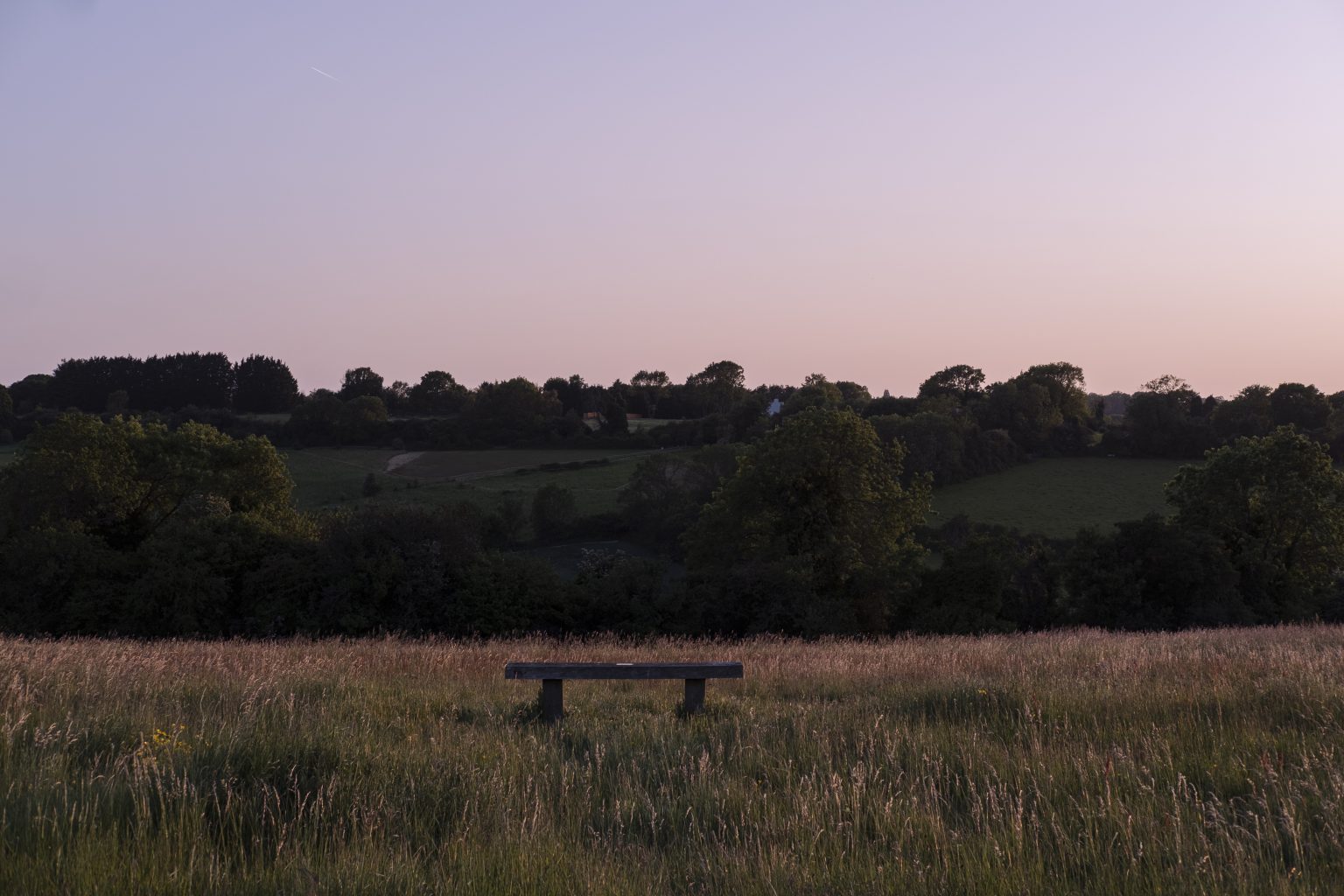 Wellbeing Walks at Farthing Downs - This is Croydon
