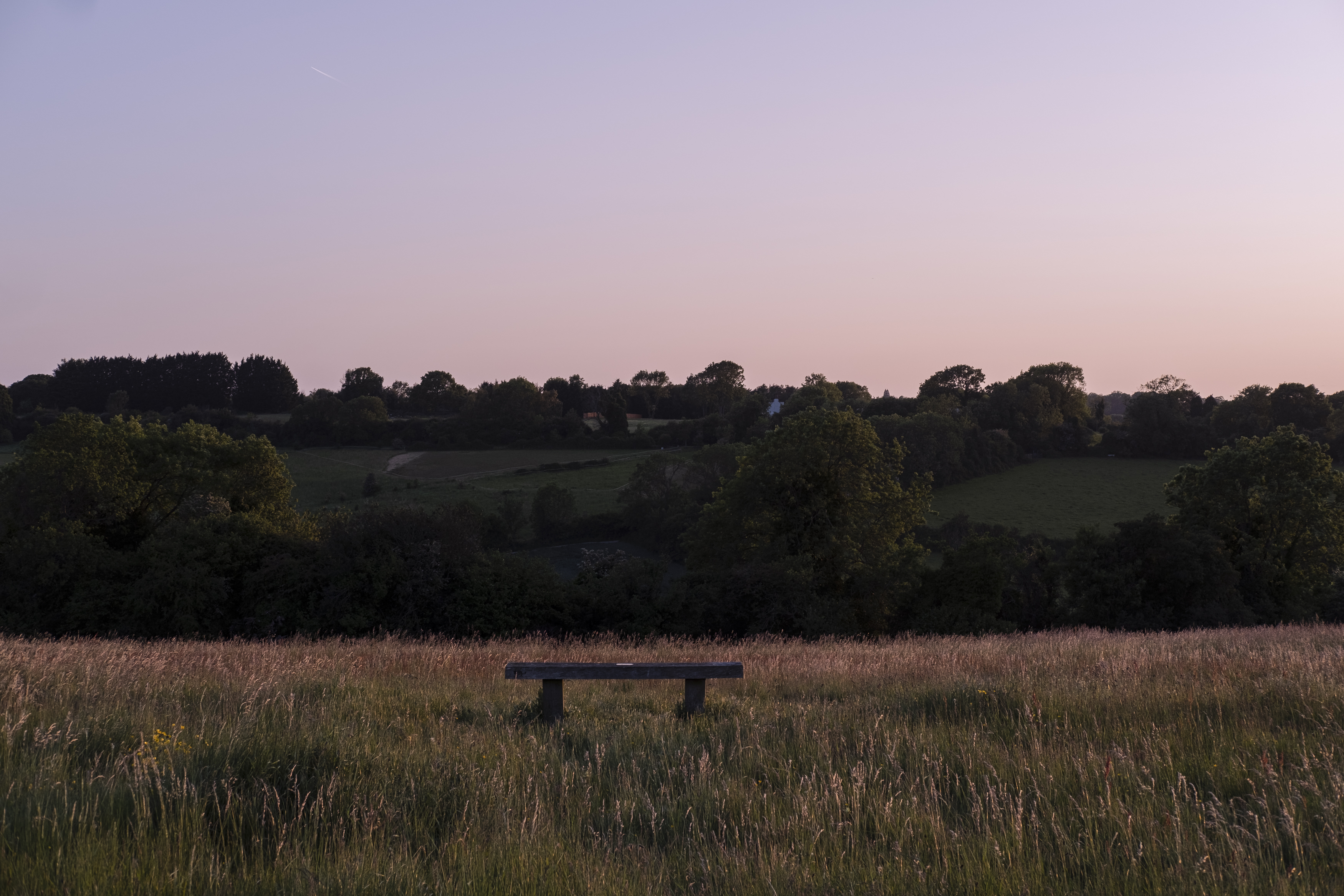 Farthing Downs, Rural Croydon by Ameena Rojee