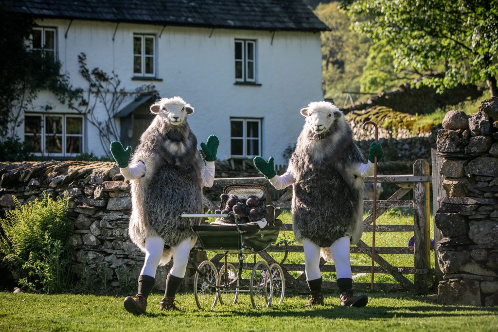 Bread and Butter - Flock. Credit Steven Barber
